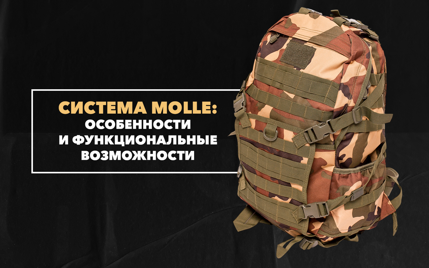 Что такое система MOLLE, ее особенности и функциональные возможности
