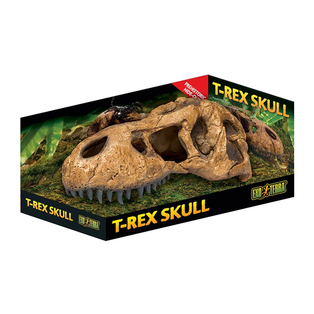 EXO TERRA, Убежище-декор &quot;Череп Тираннозавра Рекса&quot;, 22х8х9.5 см, H228596