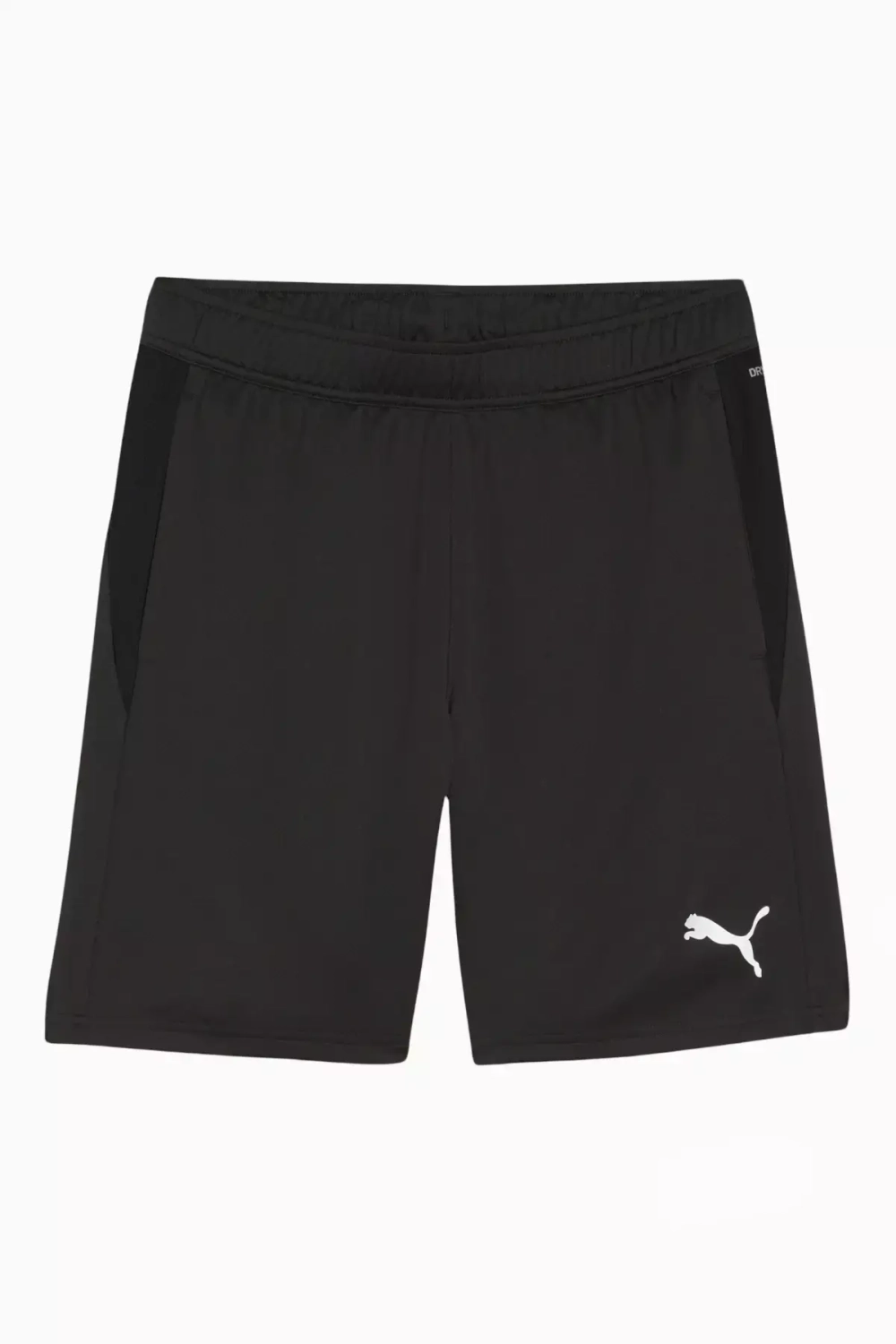 Шорты Puma teamGOAL Training