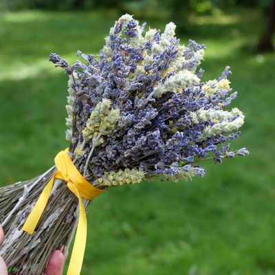 Букет сухоцветов Лаванда и Лимонник