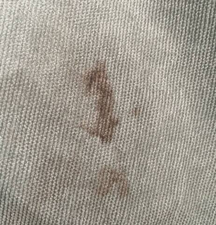 Костюм спортивный женский микровельвет фисташковый уценка (XL)