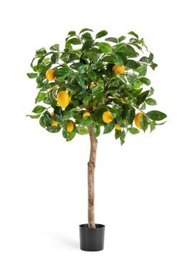 Лимонное дерево с плодами на штамбе, в-110 см
