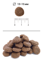 Сухой корм для собак Blitz Holistic Beef & White Fish Adult Dog Medium & Large breeds (Grain Free) с говядиной и белой рыбой для средних и крупных гипоаллергенный, для чувствительного пищеварения, 1,5 кг