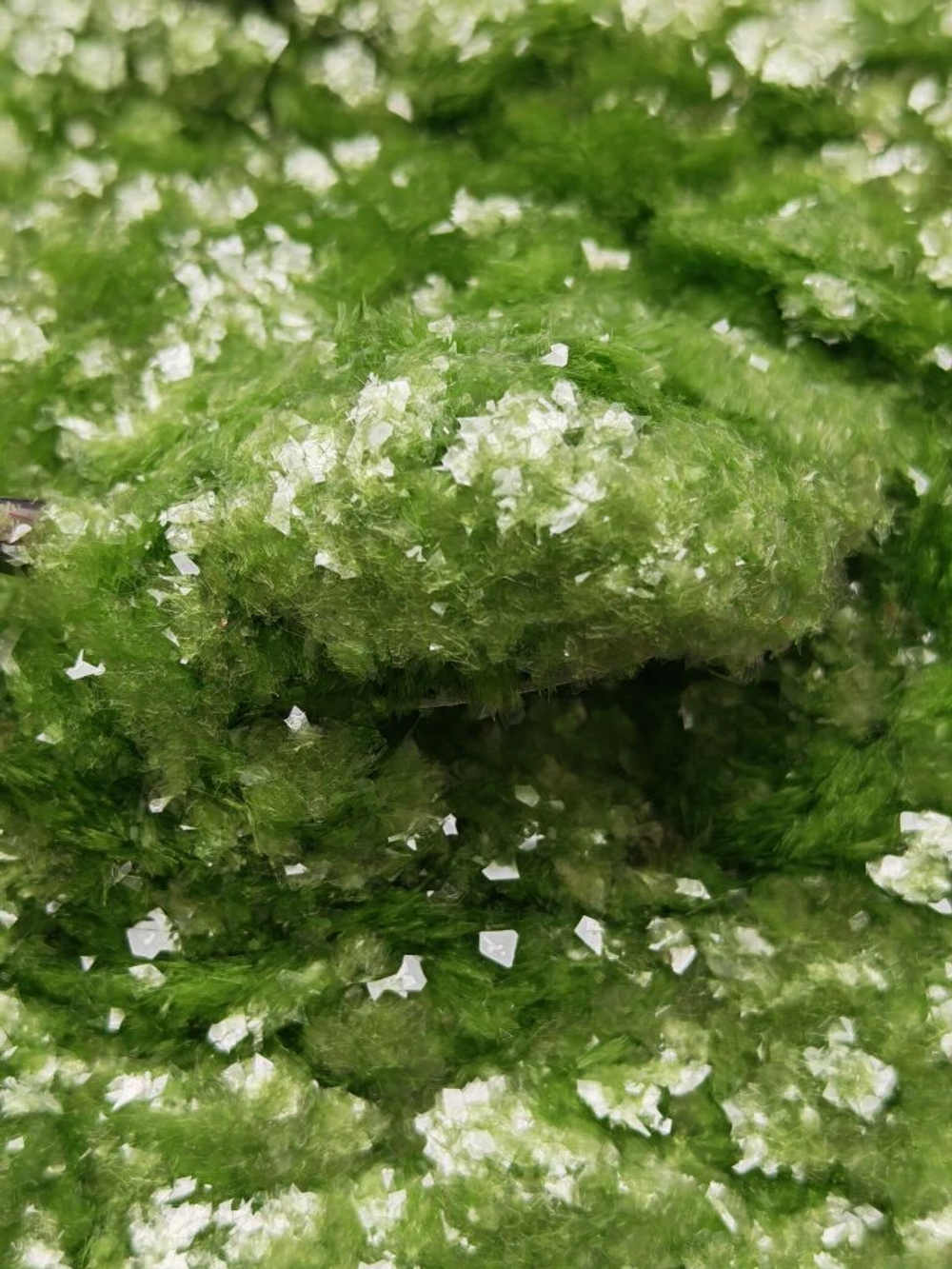 Хлопья - слюда 88306 Нежная мята прозрачный глянец - для литья изделий и творчества