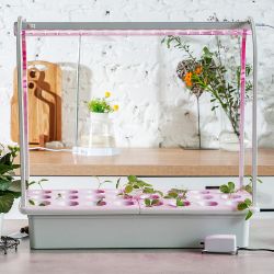 ULI-P16-10W-SPLE IP20 WHITE Светильник для растений светодиодный линейный. 570мм. выкл. на корпусе. Пластик. Спектр для фотосинтеза. TM Uniel