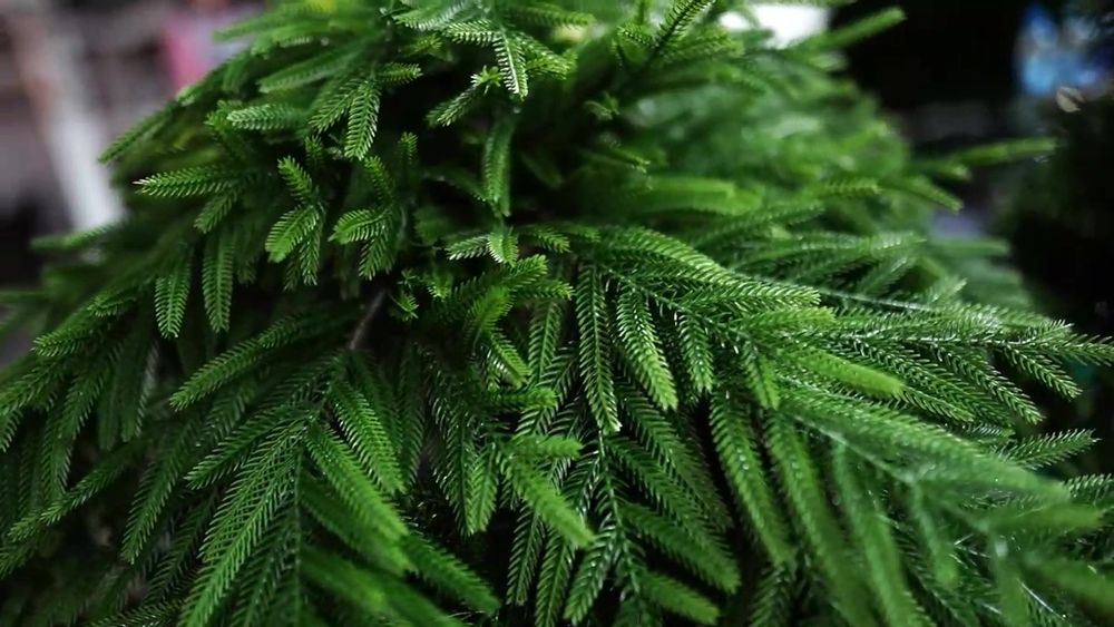 Туя складчатая искусственная (Литая хвоя) 60 см