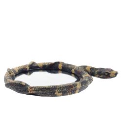 GAEM Зеркало "Змея", L18 W3 H24 см