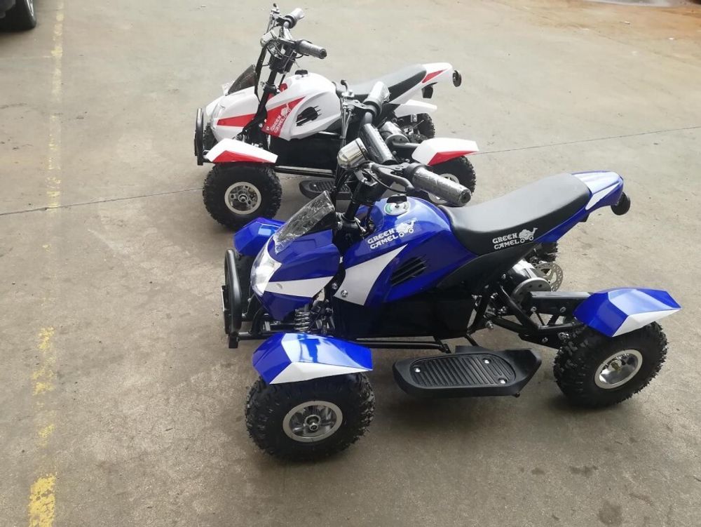 Квадроцикл GreenCamel Гоби K22 (36V 500W R4 Цепь)