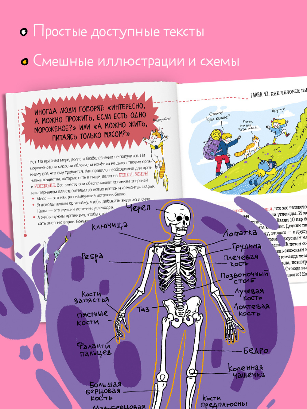 Этому в школе не научат! Реальная биология. Как устроено тело человека