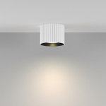 Накладной светильник Maytoni Technical Calipso C106CL-GX53-W