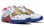 Кроссовки Reebok Answer V Mu Pu
