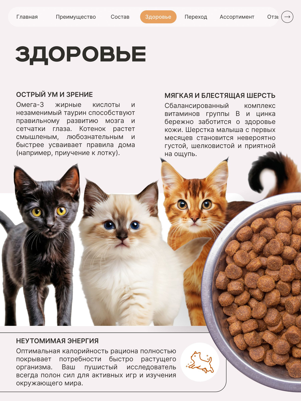 Корм сухой для котят породы Британская короткошёрстная, с индейкой, 400 гр, QUATTRO