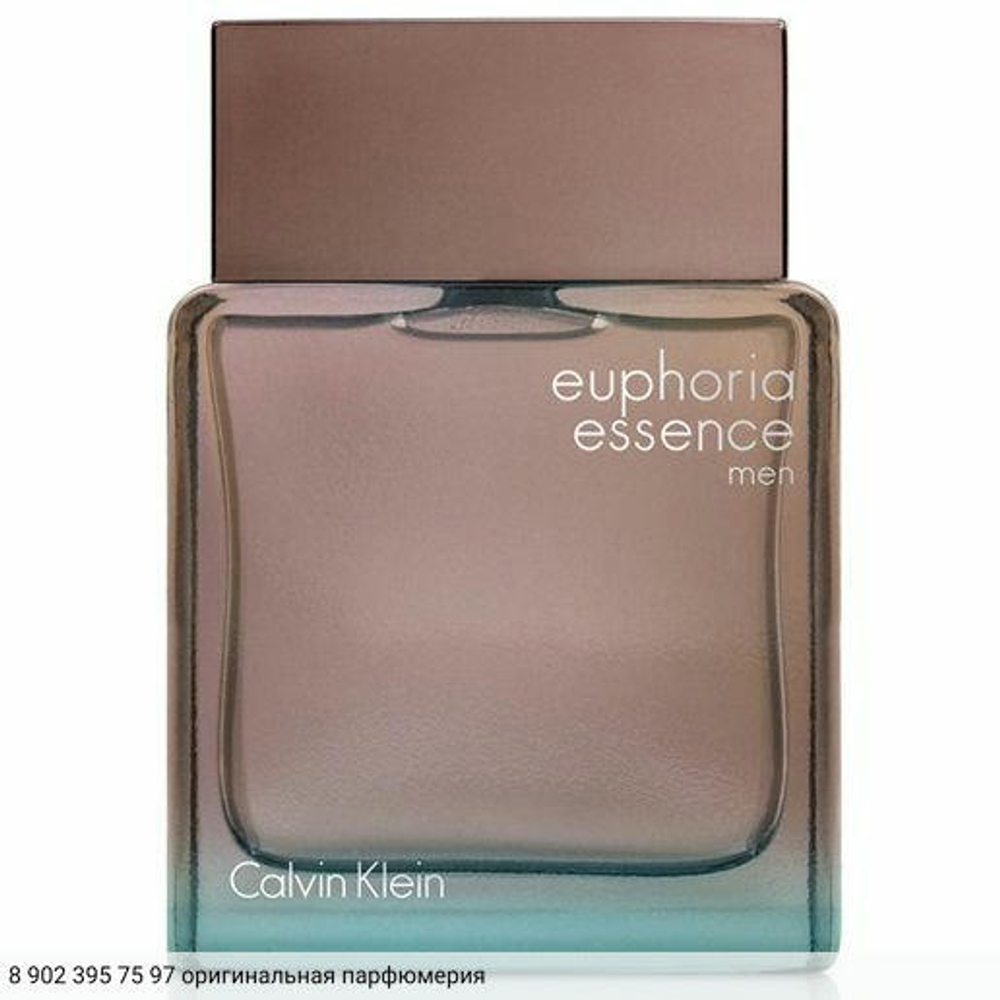 Euphoria Essence Men