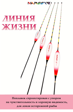 Линия жизни