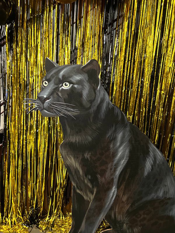 Чёрная пантера