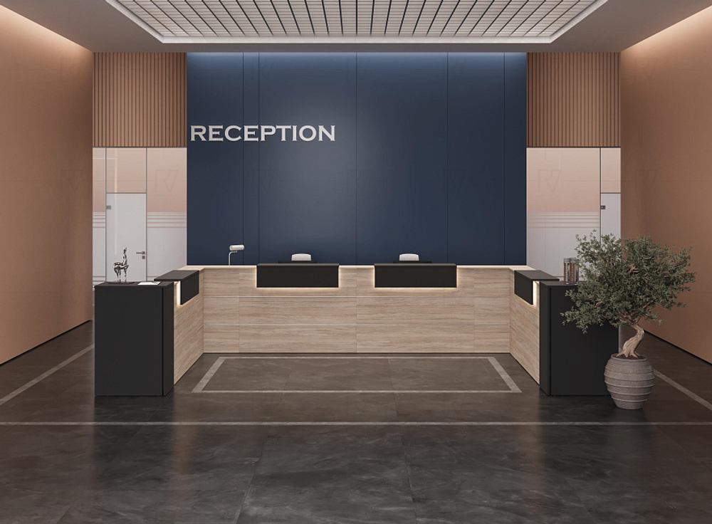 Ресепшен Оникс (Onix) вариант №30