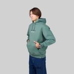  Толстовка мужская Dickies Park Hoodie артикул:DK0A4YEHH151 - купить в магазине Дайс