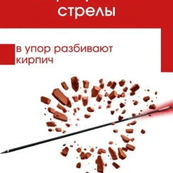 Стрелы для лука микс карбон 6шт