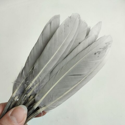 Перья утки серые 2 сорт 15 шт.