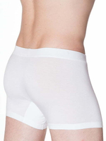 Трусы мужские боксеры Silver белый