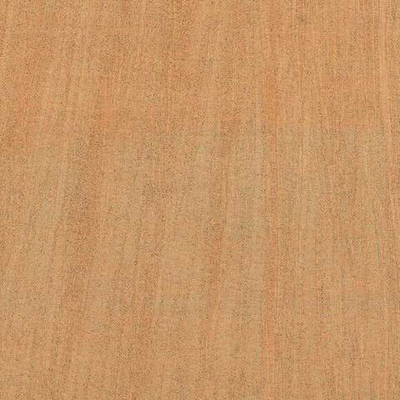 Arte Amazone 2 Pristine – 23521