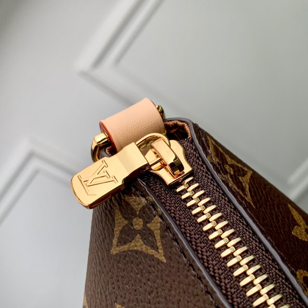 Louis Vuitton Multipass