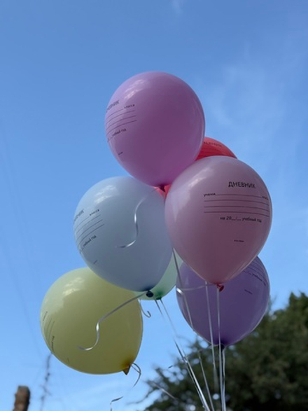 Нежная охапка шаров «Любимому учителю»  от Flora Market