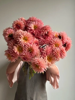 Георгин Preference (корень) Закупка М55 апрель 2026