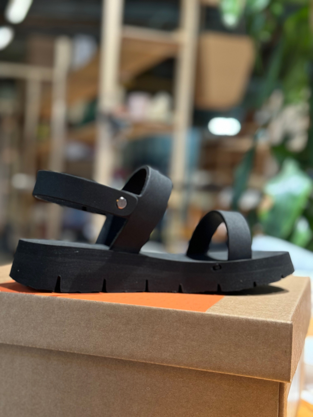 Allblack evo SPORT black Sample