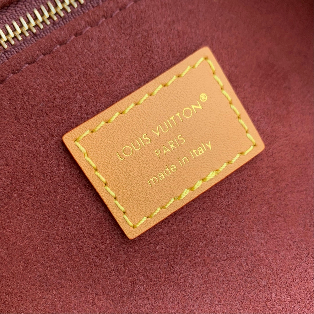Louis Vuitton CarryAll BB