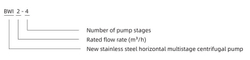 Горизонтальный многоступечатый центробежный насос серии BWI, Shimge