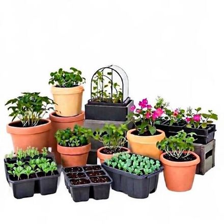 Горшки для растений