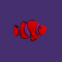 Gloxy декорация флуорисцентная "Рыба клоун" на леске 7х2,5х4см