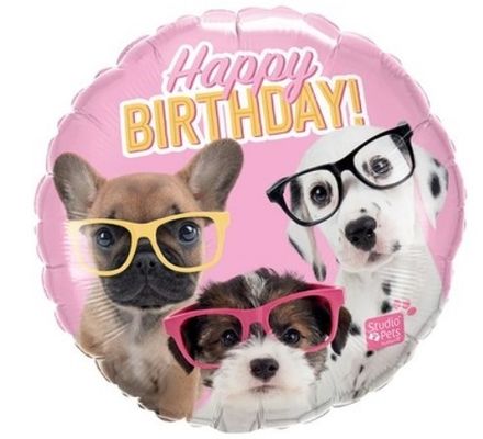 Круг НВ "Щенки в очках"