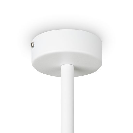 Потолочный светильник Freya FR5363CL-06W