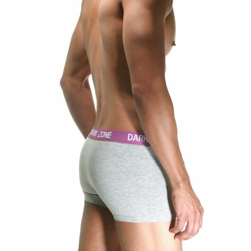 Трусы мужские боксеры светло-серые DARKZONE DZN2216