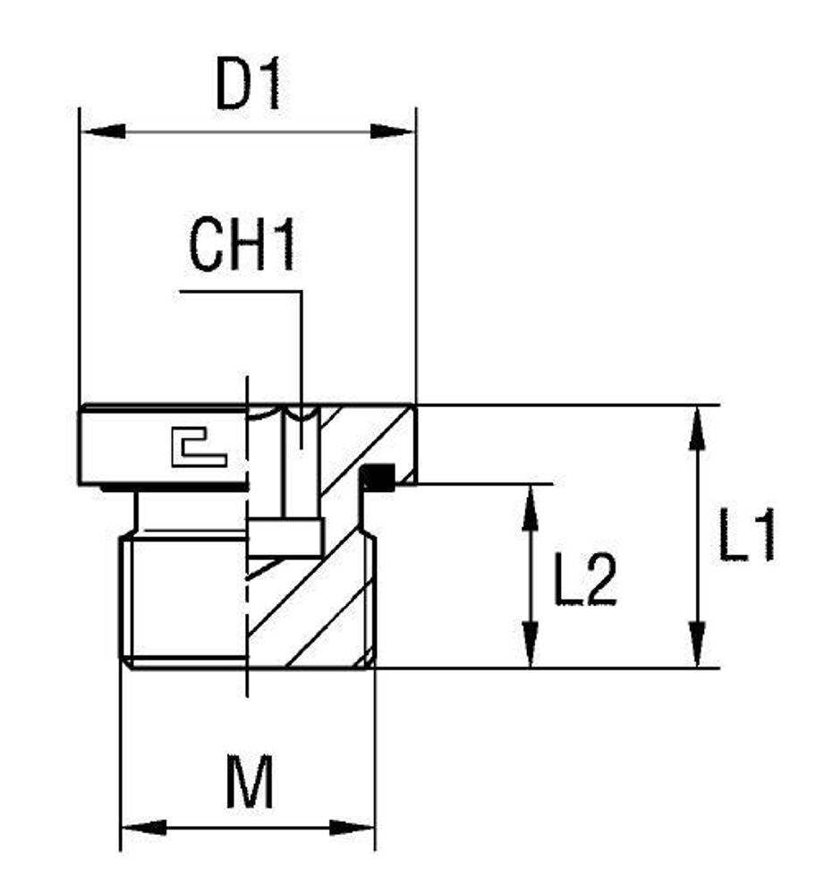 Заглушка VE М12x1.5