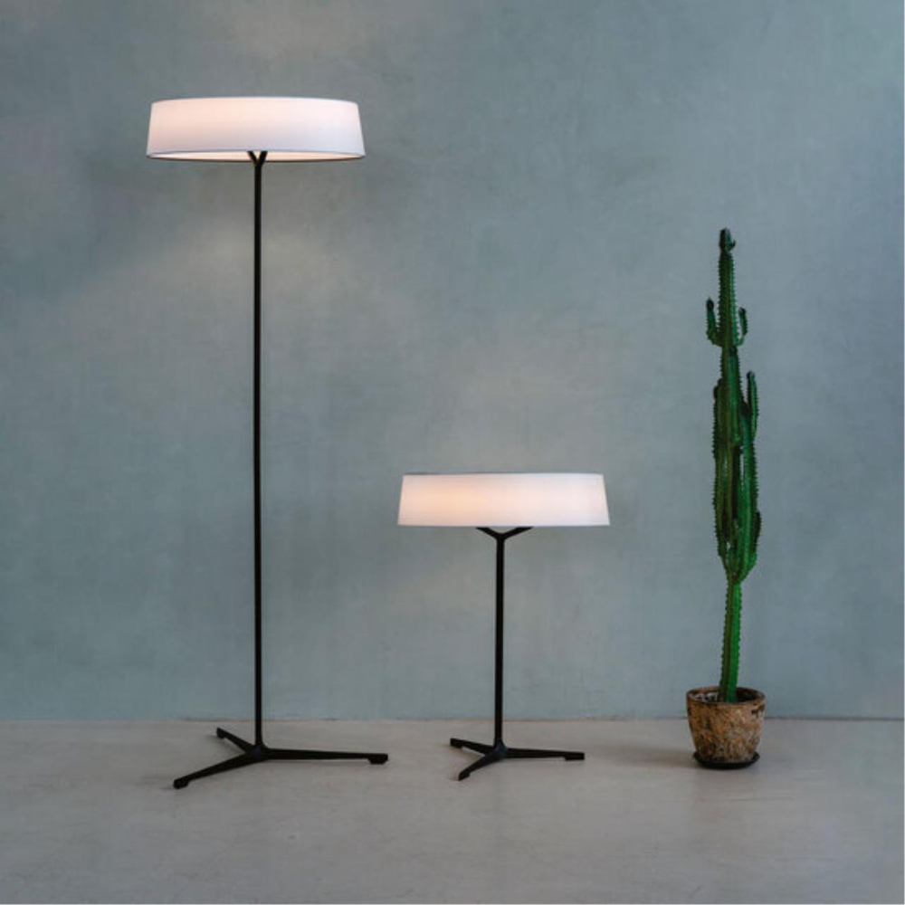 Торшер светодиодный Divinare ALMA 1029/06 PN-11