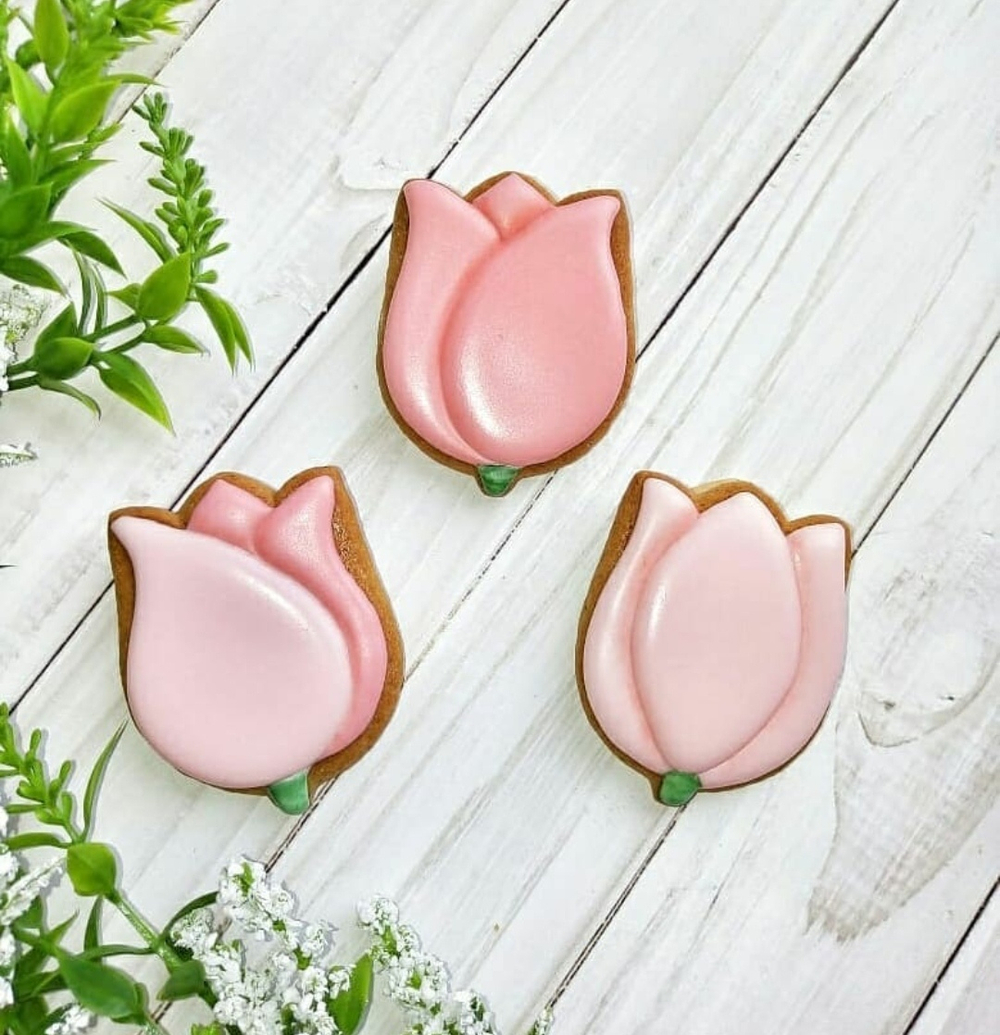 Тюльпан №8 бутон