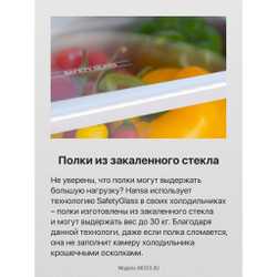 Встраиваемый холодильник Hansa BK3167.3FA