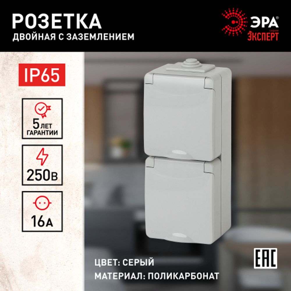 11-2607-03 ЭРА Розетка 2х2P+E верт. IP65, 16A-250В, ОУ, серый