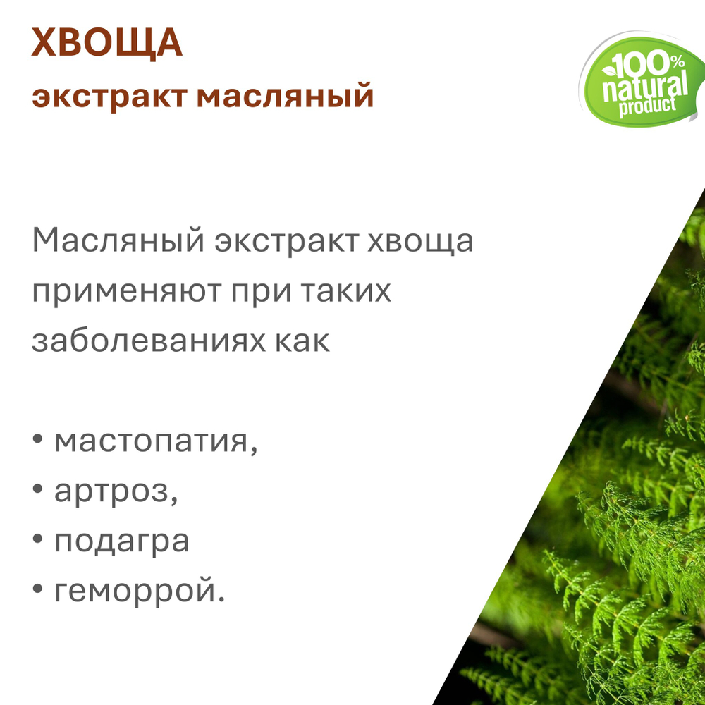 Экстракт хвоща, масляный