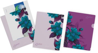 Папка-уголок А4 4 шт. Night illusion