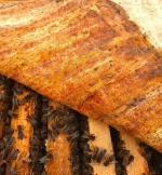 Прополисный холстик