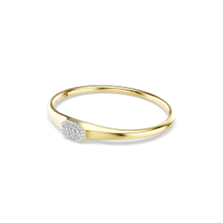 DEXTERA:BANGLE TAG CRE/GOS L