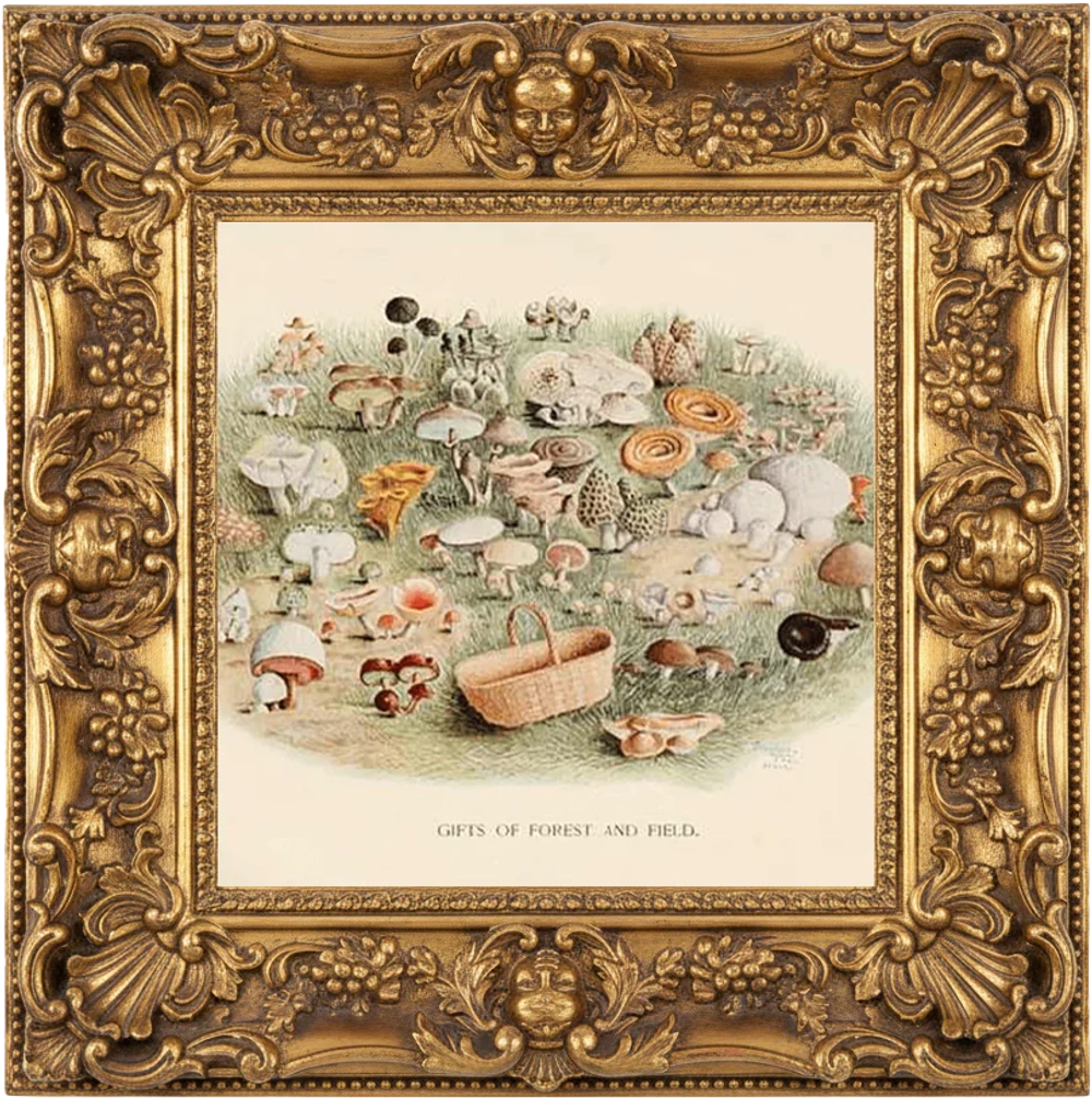 Отдушка SM - ЛЕСНАЯ ПОДСТИЛКА (FOREST FLOOR)