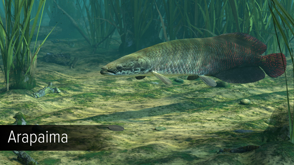 Ultimate Fishing Simulator - Amazon River (для ПК, цифровой код доступа)