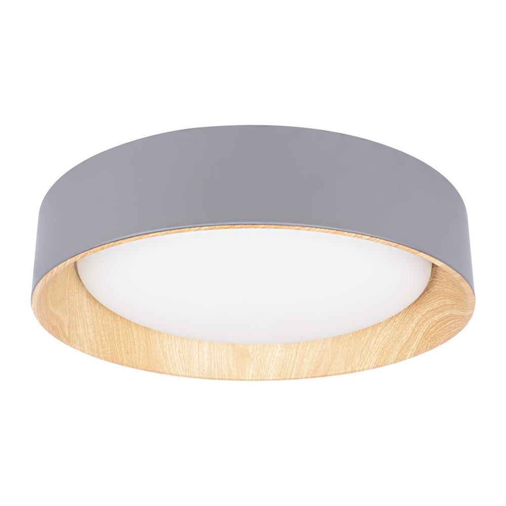 Светильник Потолочный Loft It Grey Coin 10202