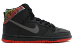 Кроссовки Nike Dunk Sb Spot Gasparilla