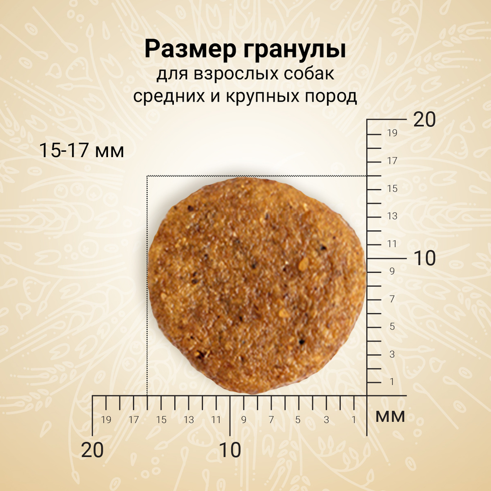 Сухой корм CRAFTIA NATURA для взрослых собак средних и крупных пород из курицы и индейки 640 г